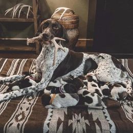German Shorthaired Pointers from SLC Gun Dogs