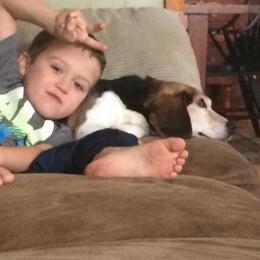 Beagle Puppies from Bachman’s Kennel