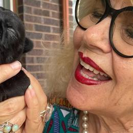French Bulldogs from Tra La French Bulldogs