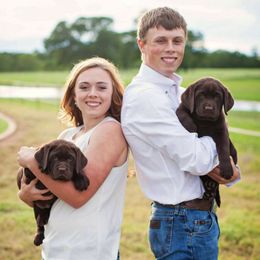 Labrador Retrievers from Japatul Labradors