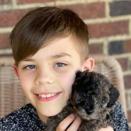 Cockapoo Puppies from Oak and Magnolia