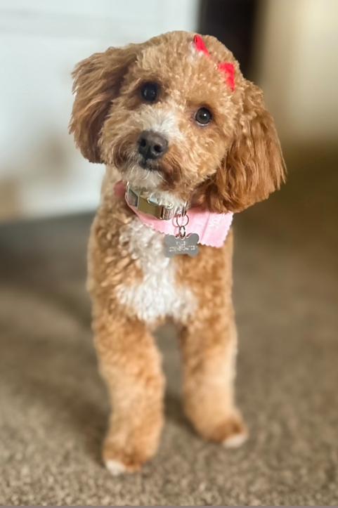 Finley