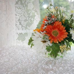 Australian Labradoodle Puppies from Windsor Creek Labradoodles