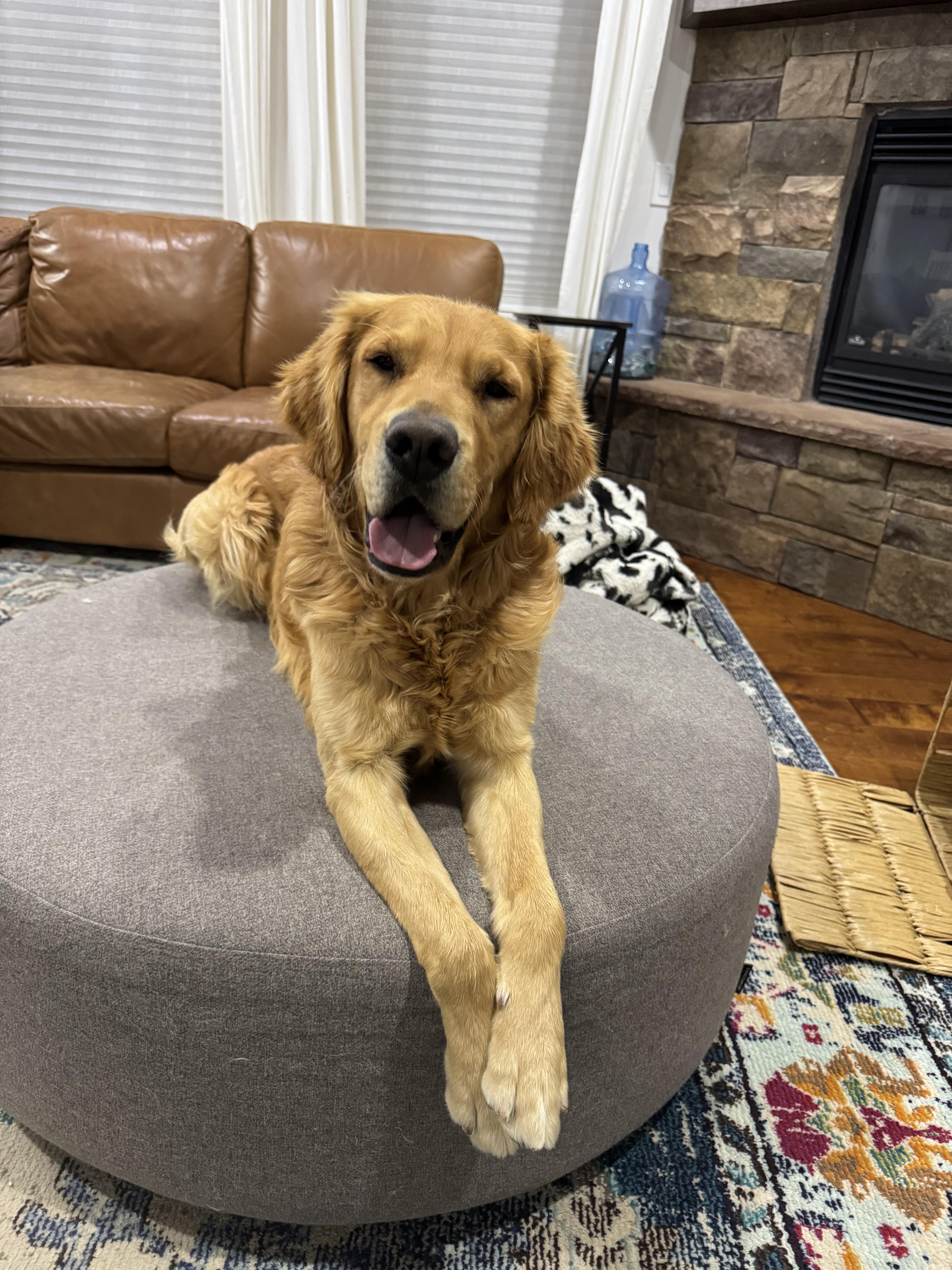 Unnamed