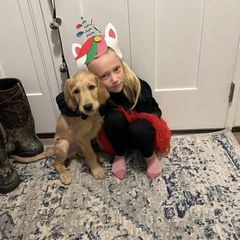 Bearded Retriever, Goldendoodle, and Labradoodle Puppies from Traverse City Doodles