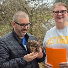 Naughty (Walter) - Wild  boar and tan male Dachshund puppy in Lebanon, Ohio from Golden Acres Dachshunds