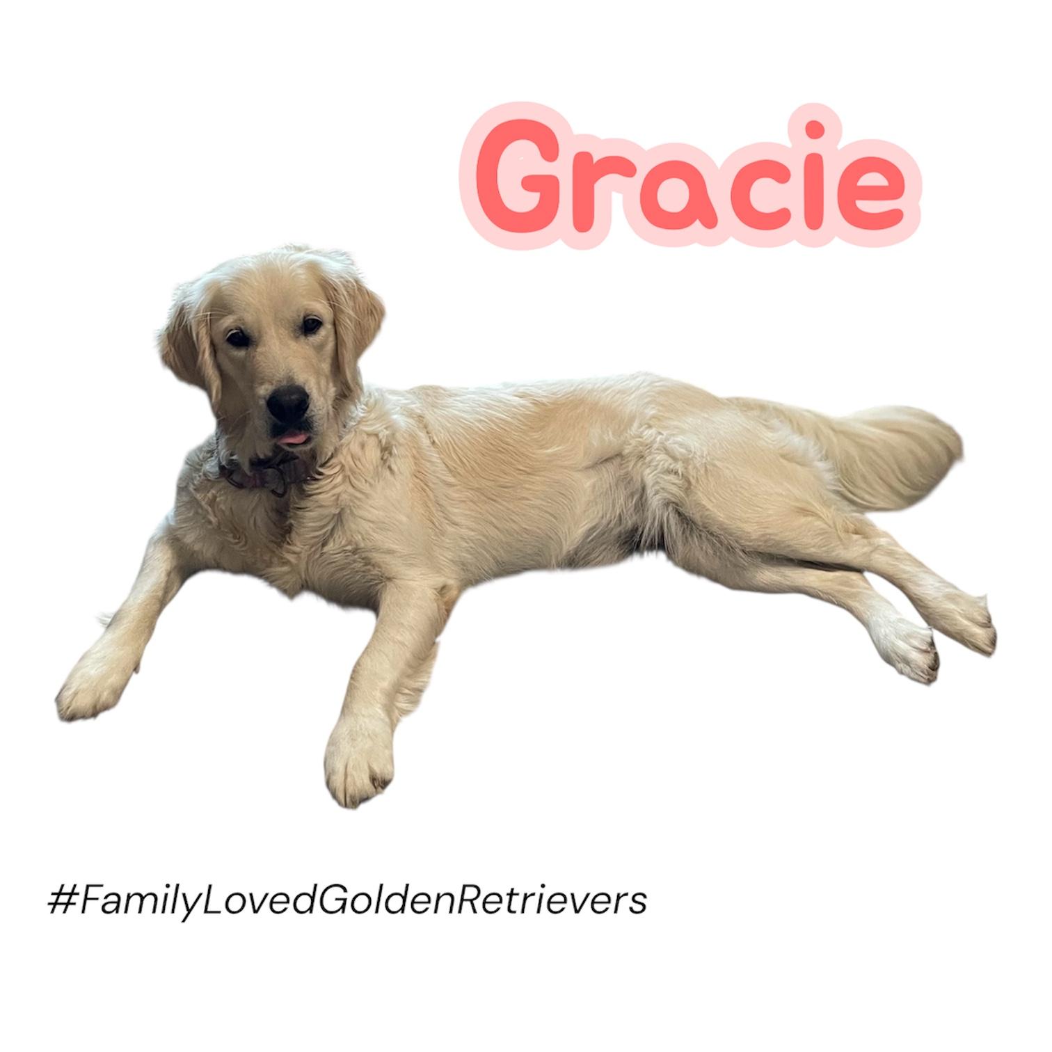 Gracie