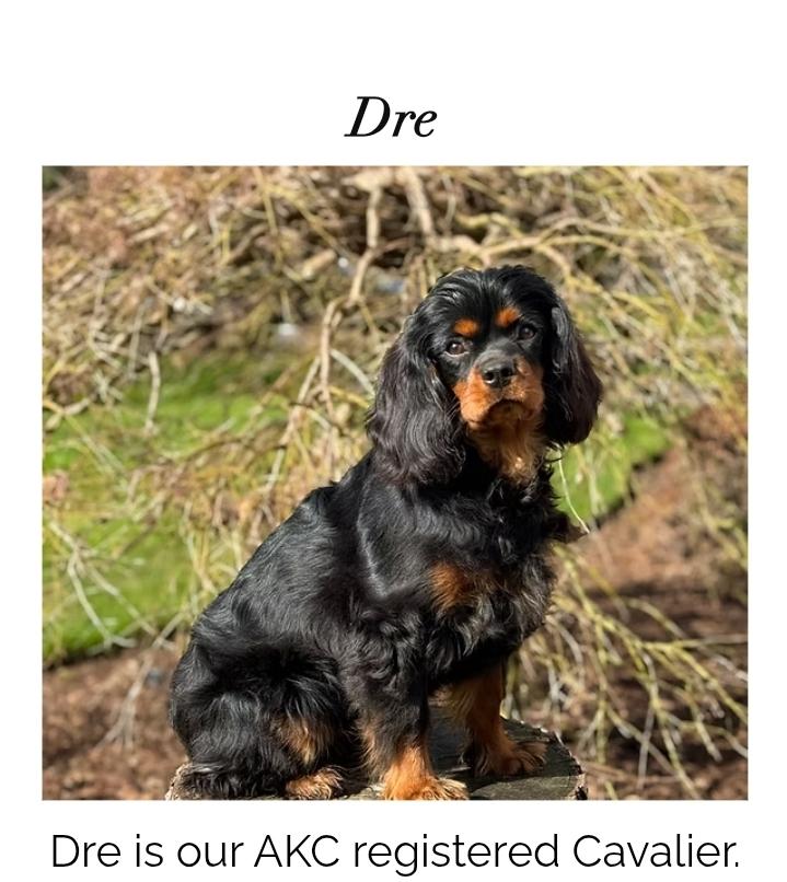 Dre