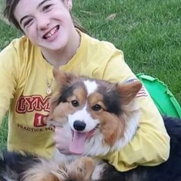 Pembroke Welsh Corgi All Grown Up from Pine Lawn Corgis