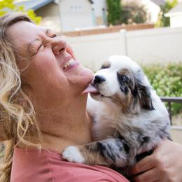 Miniature Australian Shepherd Puppies from Bishop Aussies