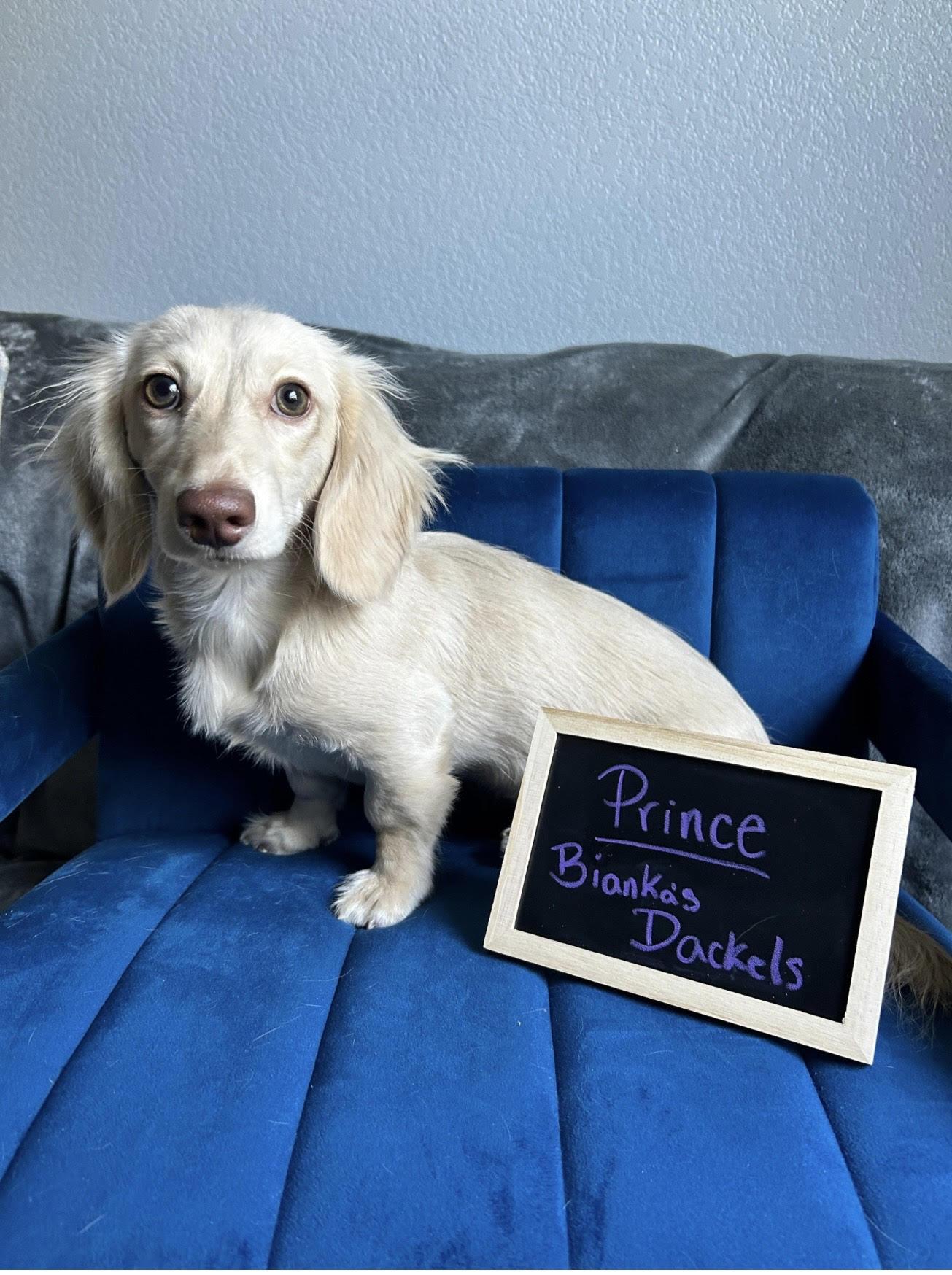 Prince
