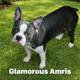 Amris