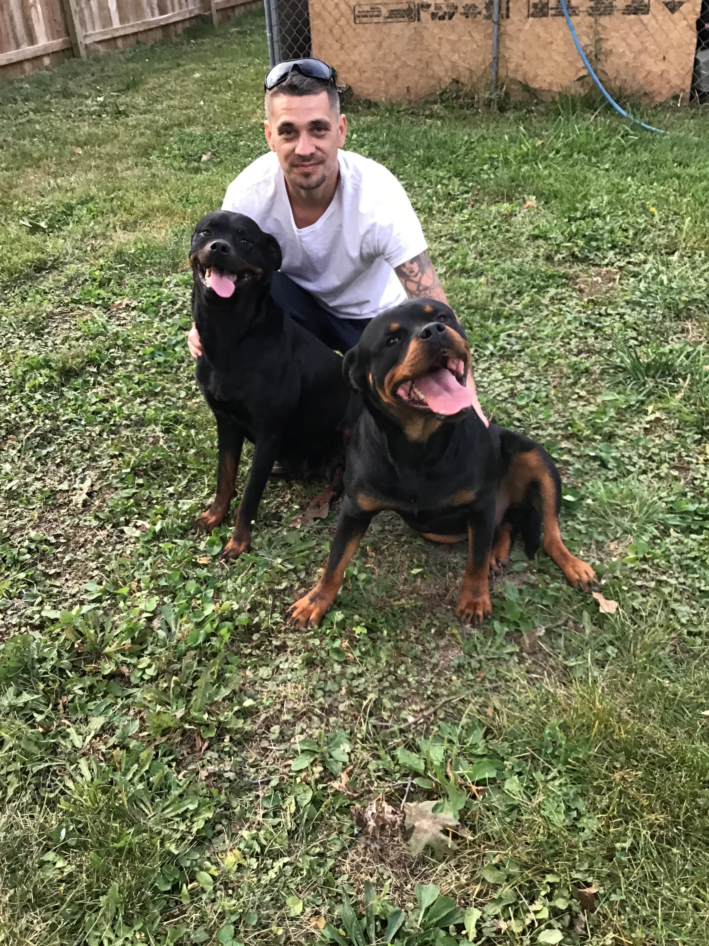 Rott Nation Dog Breeding in Indiana | Rottweiler puppies | Good Dog
