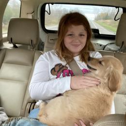 Golden Retriever Puppies from DeClercks Goldens