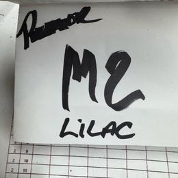 M2 - Lilac male Border Collie puppy in Meridian, Mississippi from Border Hollow Border Collies