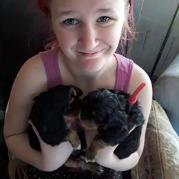 Cavalier King Charles Spaniel Puppies from Jina Ezell