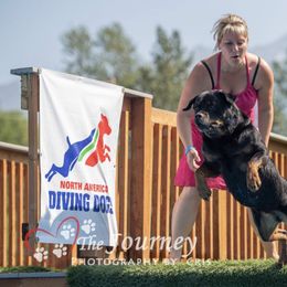 Rottweilers from Birch Creek