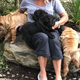 Chinese Shar-Pei Puppies from Dee Dee Wells's Chinese Shar-Pei