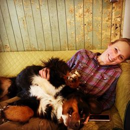 Bernese Mountain Dog All Grown Up from Black Forest Bernese