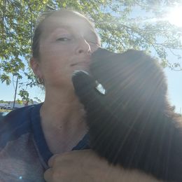 Australian Shepherd Puppies from Copeland's Kennels
