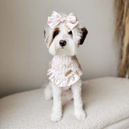 Lovey - Goldendoodle