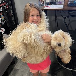 Australian Cobberdogs from Joreese Australian Cobberdogs