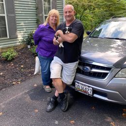 Cavalier King Charles Spaniel Puppies from CK Cavaliers