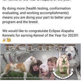 Alapaha Blue Blood Bulldog Puppies from Eclipse Alapaha Kennels