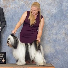 Tibetan Terriers from Treble Tibetan Terriers