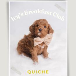 Quiche - Red  male Goldendoodle puppy in New Lenox, Illinois from New Doods On The Block