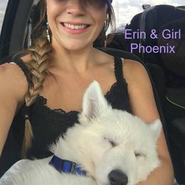 Berger Blanc Suisse and German Shepherd Puppies from Vom Hundhaus German Shepherds
