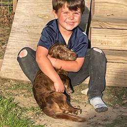 Max - Dachshund