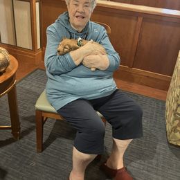 Goldendoodle and Poodle Puppies from South Sound Doodles