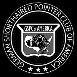 German Shorthaired Pointers from Riverland German Shorthaired Pointers