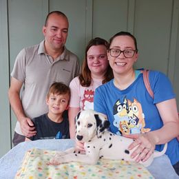 Snow,  Yellow collar - White and lemon female Dalmatian puppy in Decatur, Alabama from Hollytree Dalmatians