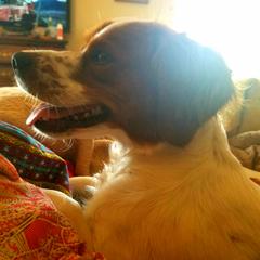 River - French Brittany