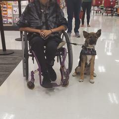 Sporty Mix Puppies from Eternal Symmetry