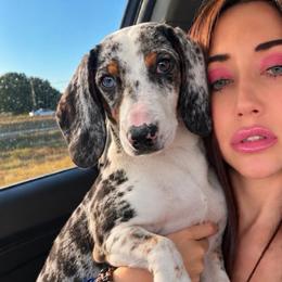 Mossberg - Dachshund