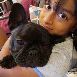 French Bulldog Puppies from Legend French Bulldogs