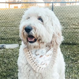 Bernedoodles and Goldendoodles from Pincksten Family Doodles