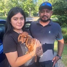 Dachshund Puppies from Green Acres Dachshunds