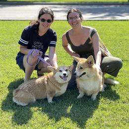 Pembroke Welsh Corgis from Lola’s Corgis