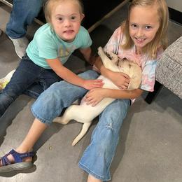 Labrador Retriever Puppies from Krys Ruth