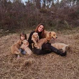 Golden Retriever Puppies from Golden Coast Kennels