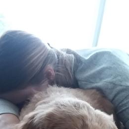 Goldendoodle and Poodle Puppies from Capens' oodles of doodles,poodles and poo's