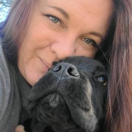 American Corgis, Cane Corso, Pembroke Welsh Corgis, and Rhodesian Ridgebacks from Diamondcrest Inc