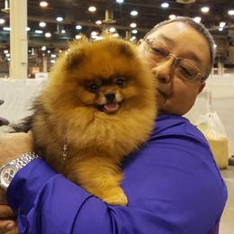 Tiny - Pomeranian