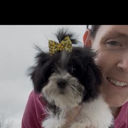 Callie - Black & white female Maltipoo puppy in Lancaster, Kentucky from Dream Paws Puppies, LLC