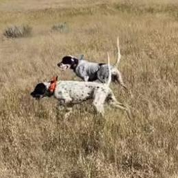 English Setter Puppies from Steens Mountain Setters