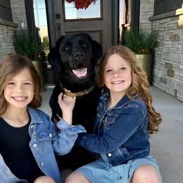 Dilute Retriever, Golden Retriever, and Labrador Retriever All Grown Up from Grimm Girls Farm